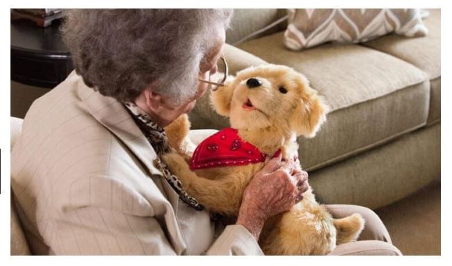 Kvinde med robothund